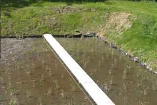 Reed Bed Filter for Selwood Housing