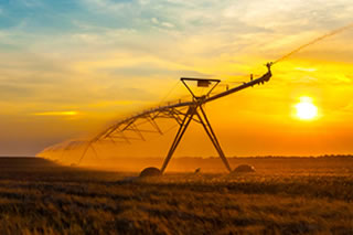 Agriculture & Farming